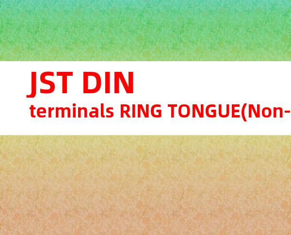 JST DIN terminals RING TONGUE(Non-insulated)系列 GS10-2.5产品规格书